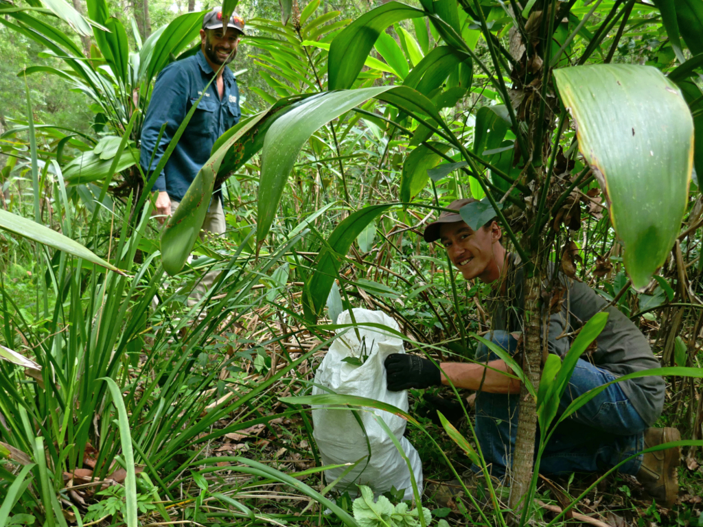 Two men smiling while working in a lush green forest, one crouching beside a white bag and the other standing in the background among the plants.