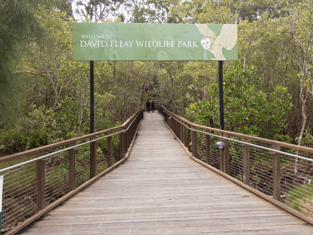 A wooden boardwalk leading to the entrance of David Fleay Wildlife Park, with a welcoming sign visible among lush green surroundings.