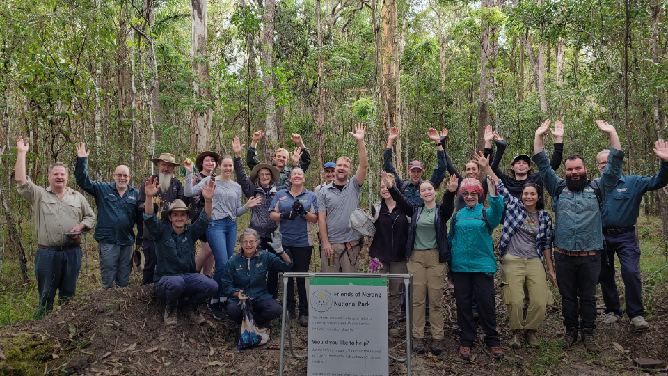 Gold Coast Volunteer Event – Nerang National Park Habitat Restoration & Citizen Science