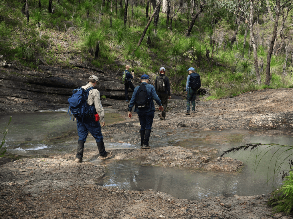 A group of hikers navigating a rocky stream in a lush, green forest setting.