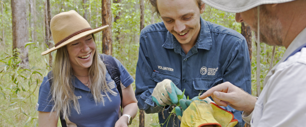 Friends of Parks Queensland volunteers