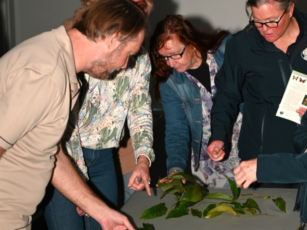 A group of people examining leaves on a table during a workshop or discussion.