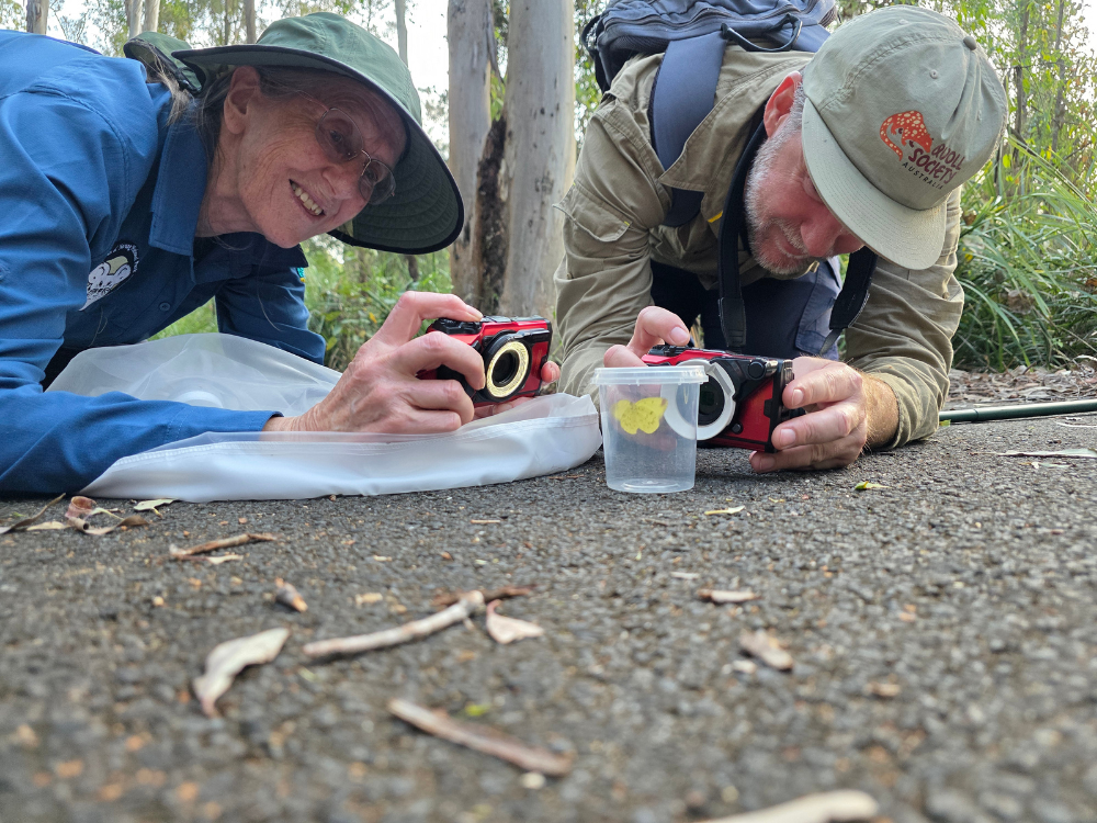 Two people kneel on a path in a bush area, photographing a small container with a yellow object inside. They are focused on their cameras, with trees in the background.
