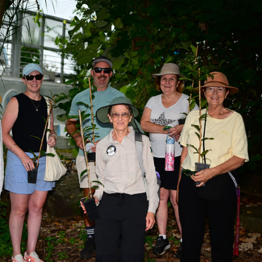 A group of five people stands outdoors, surrounded by greenery, each holding a young plant in a pot. They are casually dressed, wearing hats and sunglasses, showcasing a variety of styles.