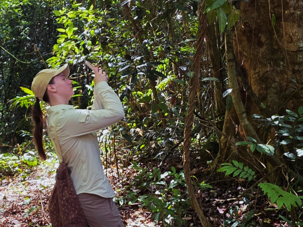 A person in a light-coloured long-sleeve shirt and cap stands in a lush green forest, using a smartphone to take a photo of the surrounding vegetation.