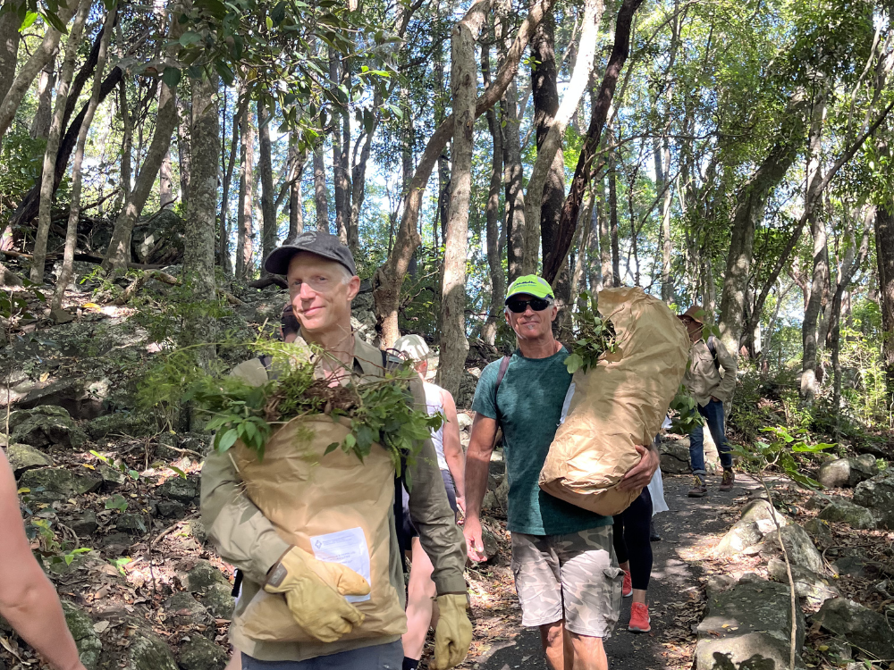 A group of people walking through a forested area, carrying bags filled with plants and greenery. The individuals wear casual outdoor clothing and appear to be engaged in a planting or conservation activity.