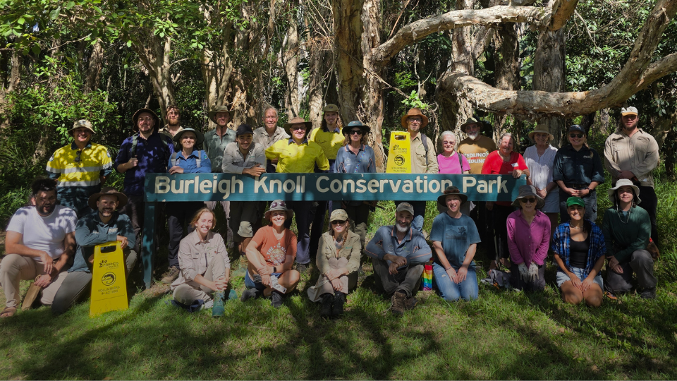 Conservation volunteers at Burleigh Knoll Conservation Park after a habitat restoration event on the Gold Coast.