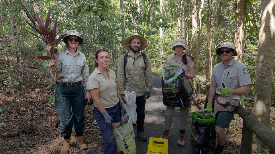 Sunshine Coast Volunteer Event – Kondalilla National Park